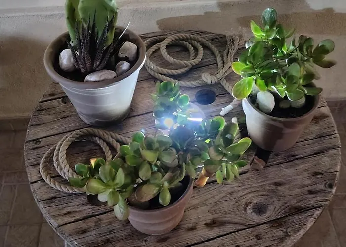 בית הארחה Dimora Costa Del Sole *